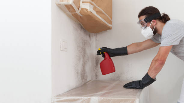 Professional Black Mold Remediation technician working in Keasbey, NJ