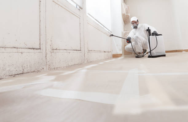 24/7 Emergency Black Mold Remediation experts in Keasbey, NJ
