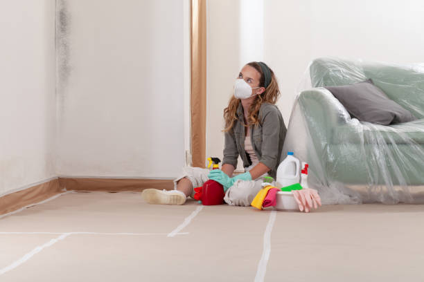Reliable Black Mold Remediation contractor in Keasbey, NJ by 24 Hour Mold Removal